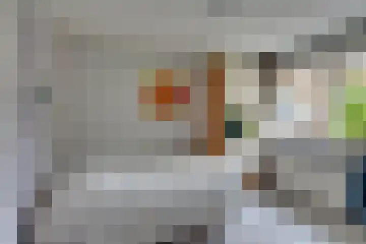 't Vennetje 9 Sint Pancras thumbnail 27