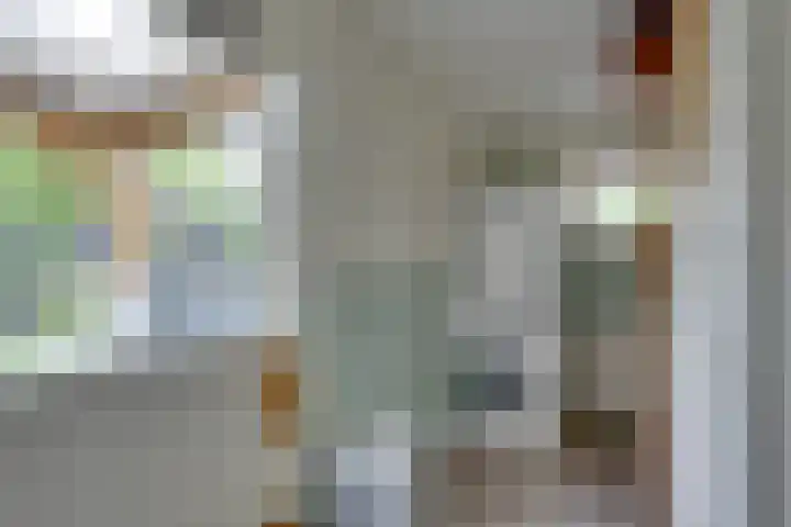 't Vennetje 9 Sint Pancras thumbnail 32