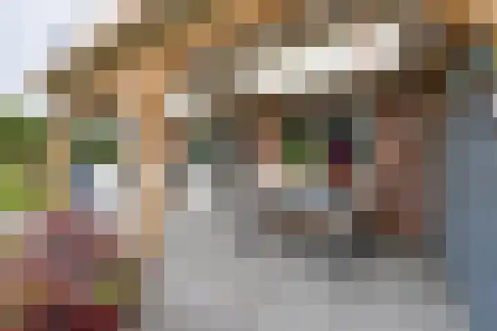 't Vennetje 9 Sint Pancras thumbnail 39