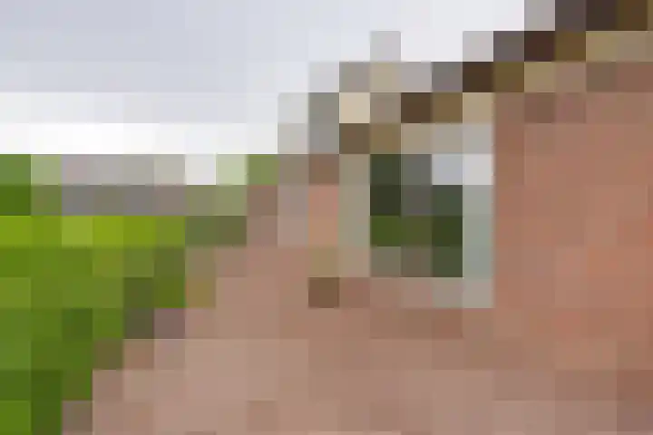 't Vennetje 9 Sint Pancras thumbnail 4