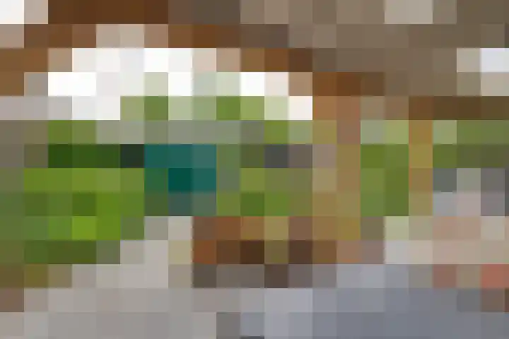 't Vennetje 9 Sint Pancras thumbnail 41