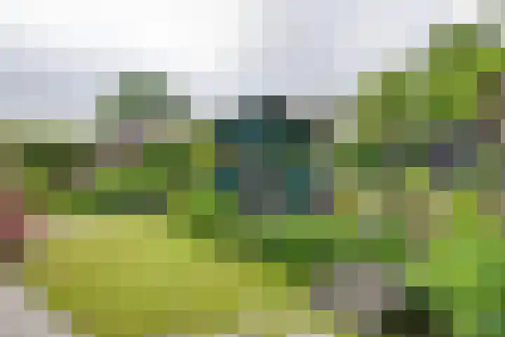 't Vennetje 9 Sint Pancras thumbnail 42