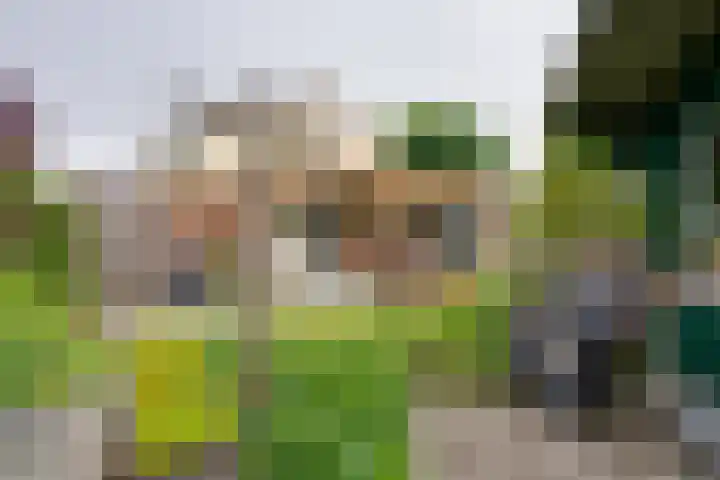 't Vennetje 9 Sint Pancras thumbnail 43