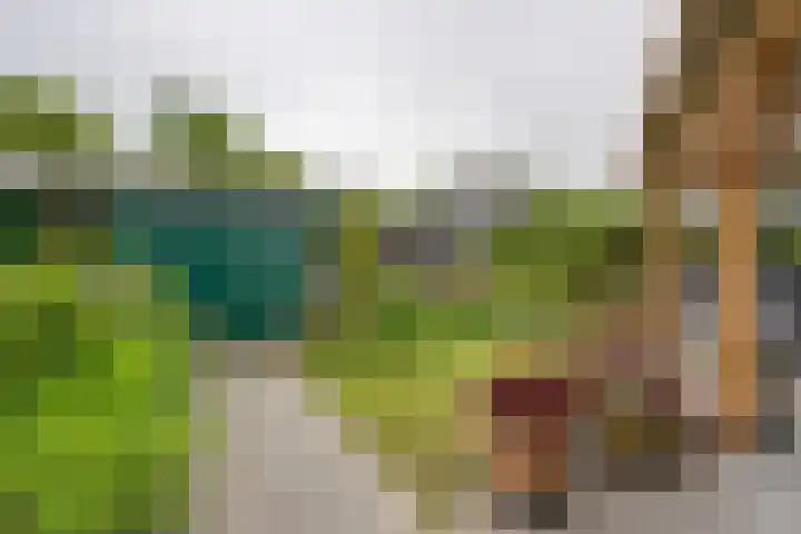 't Vennetje 9 Sint Pancras thumbnail 45