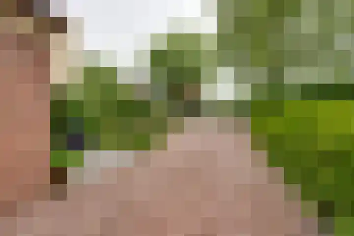 't Vennetje 9 Sint Pancras thumbnail 5