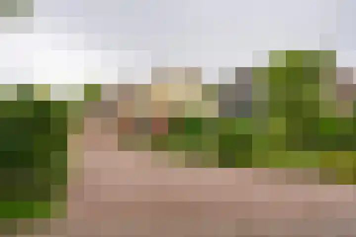 't Vennetje 9 Sint Pancras thumbnail 52