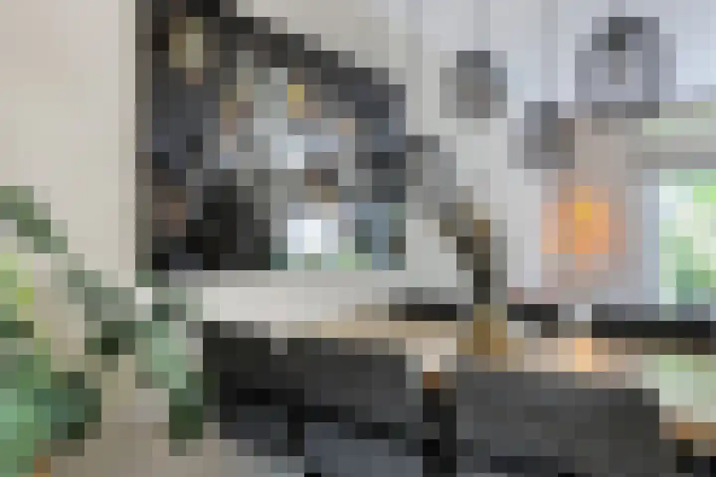 't Viertel 5 Hoevelaken thumbnail 10