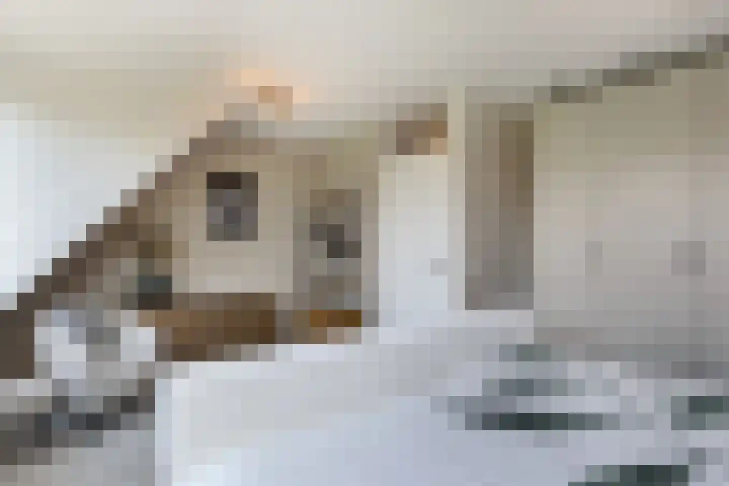 't Viertel 5 Hoevelaken thumbnail 19