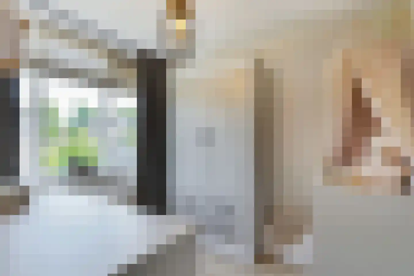 't Viertel 5 Hoevelaken thumbnail 20