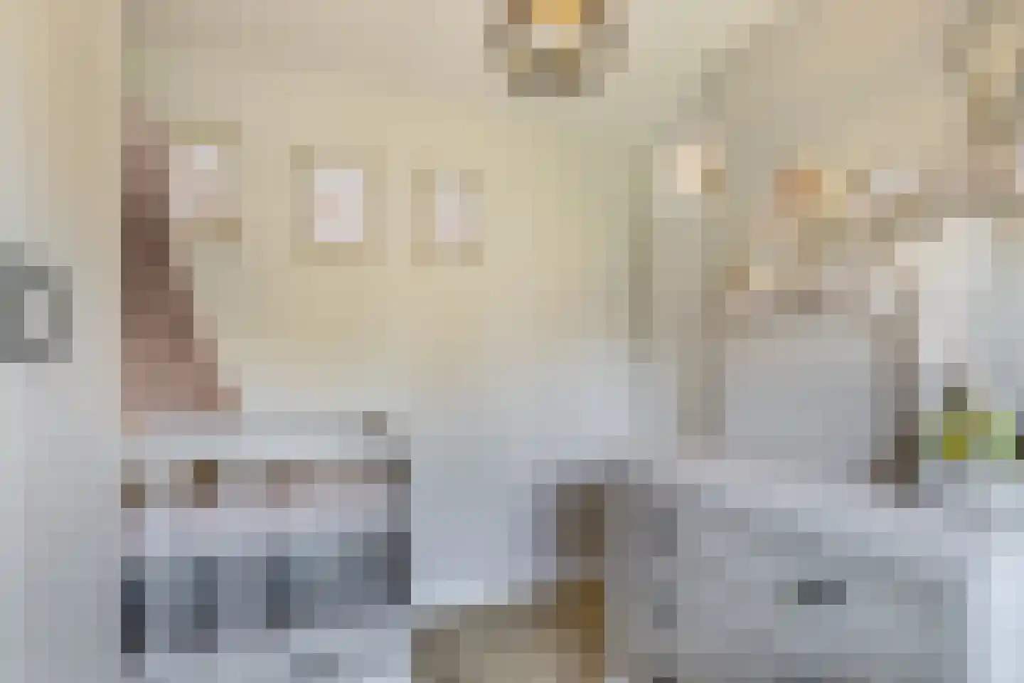 't Viertel 5 Hoevelaken thumbnail 21