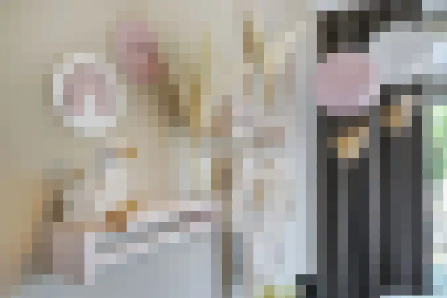 't Viertel 5 Hoevelaken thumbnail 22
