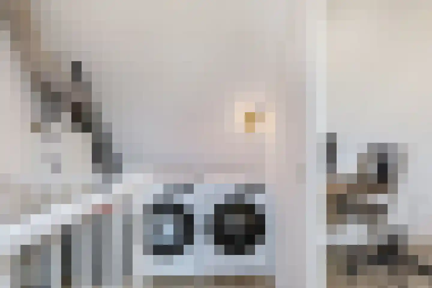 't Viertel 5 Hoevelaken thumbnail 29