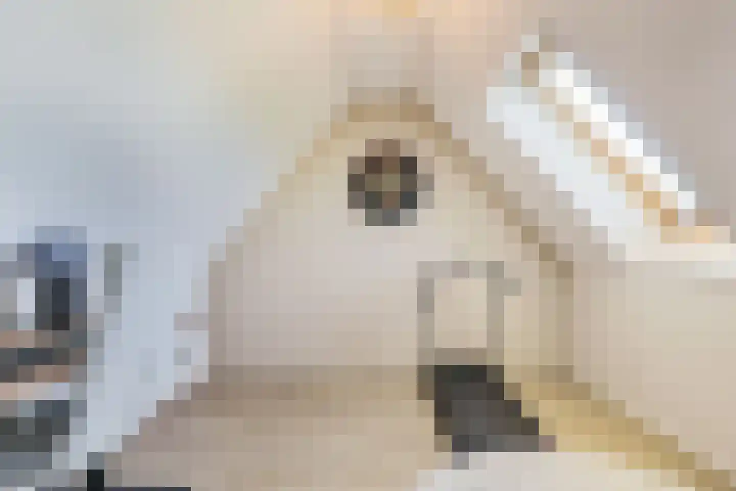 't Viertel 5 Hoevelaken thumbnail 30