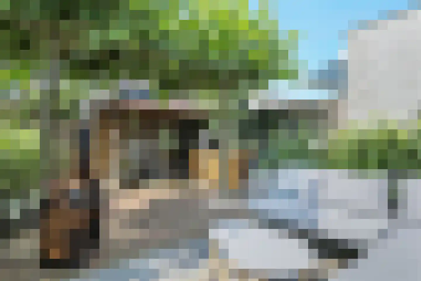 't Viertel 5 Hoevelaken thumbnail 33
