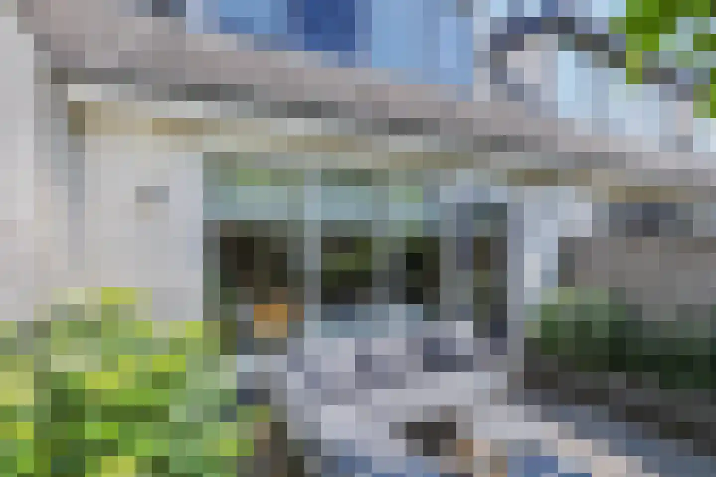 't Viertel 5 Hoevelaken thumbnail 34