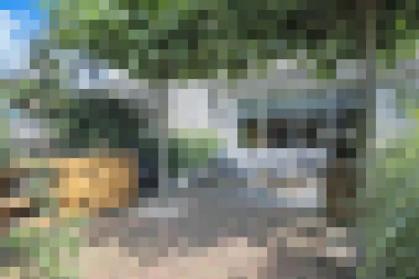 't Viertel 5 Hoevelaken thumbnail 38