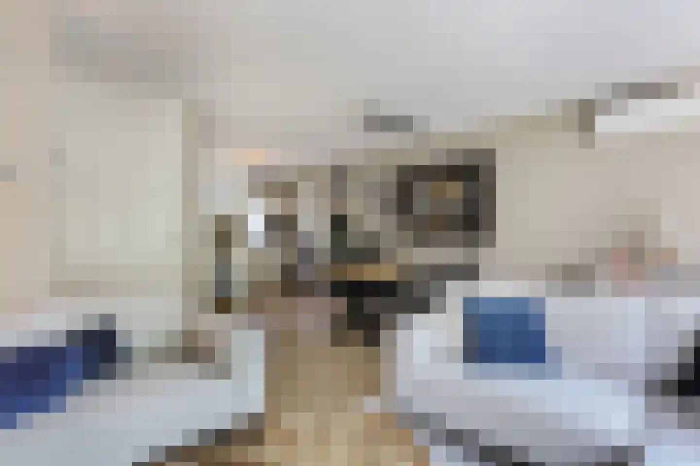 't Viertel 5 Hoevelaken thumbnail 6