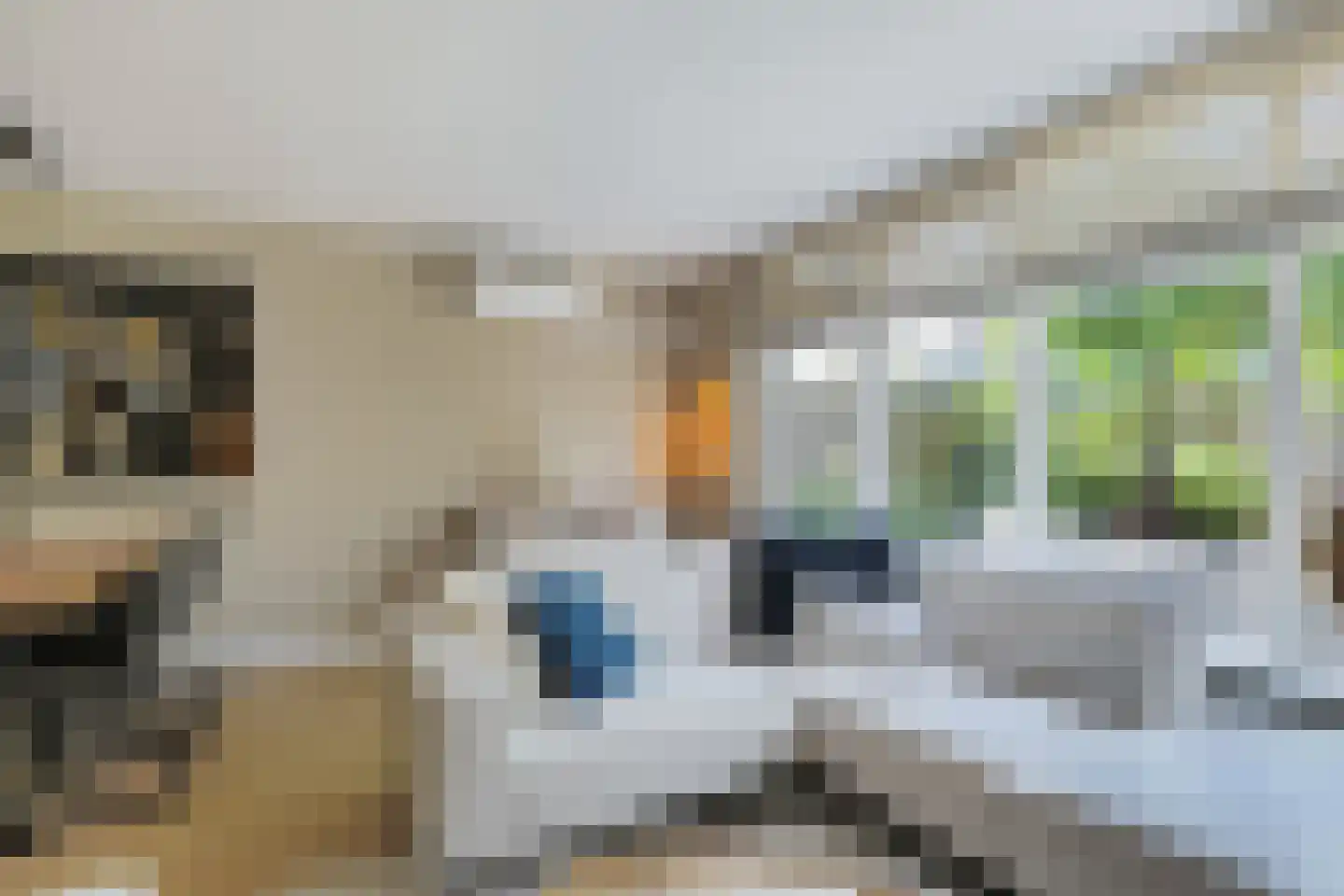 't Viertel 5 Hoevelaken thumbnail 7