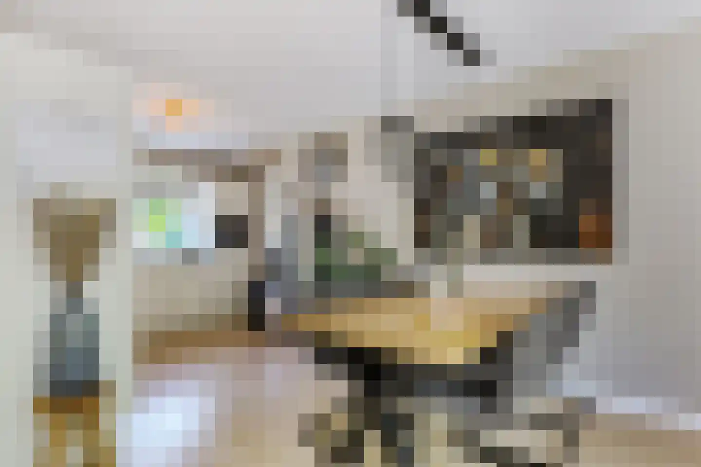 't Viertel 5 Hoevelaken thumbnail 8
