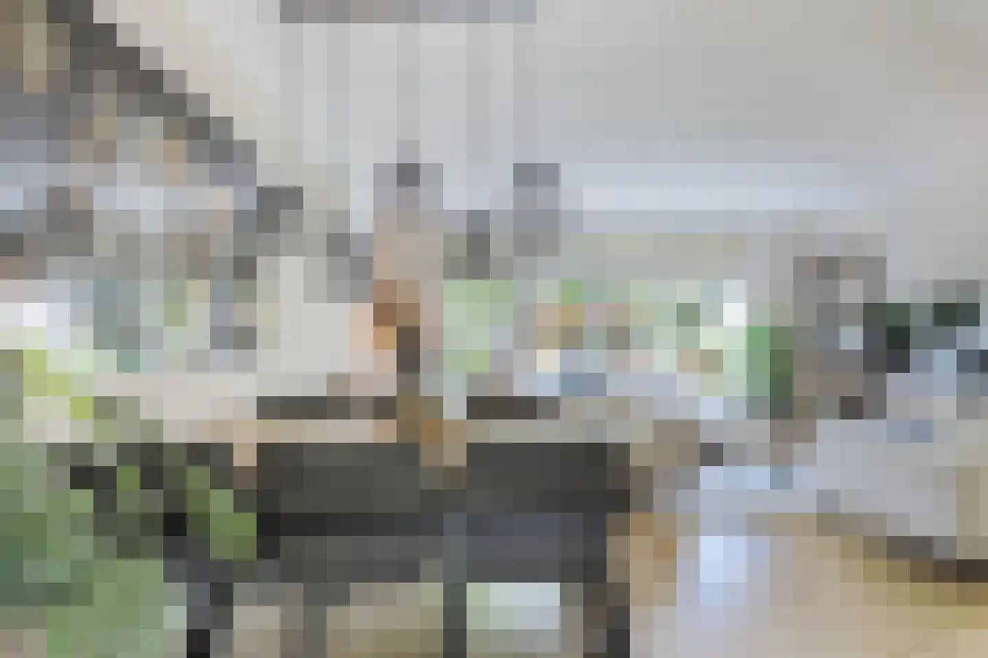 't Viertel 5 Hoevelaken thumbnail 9