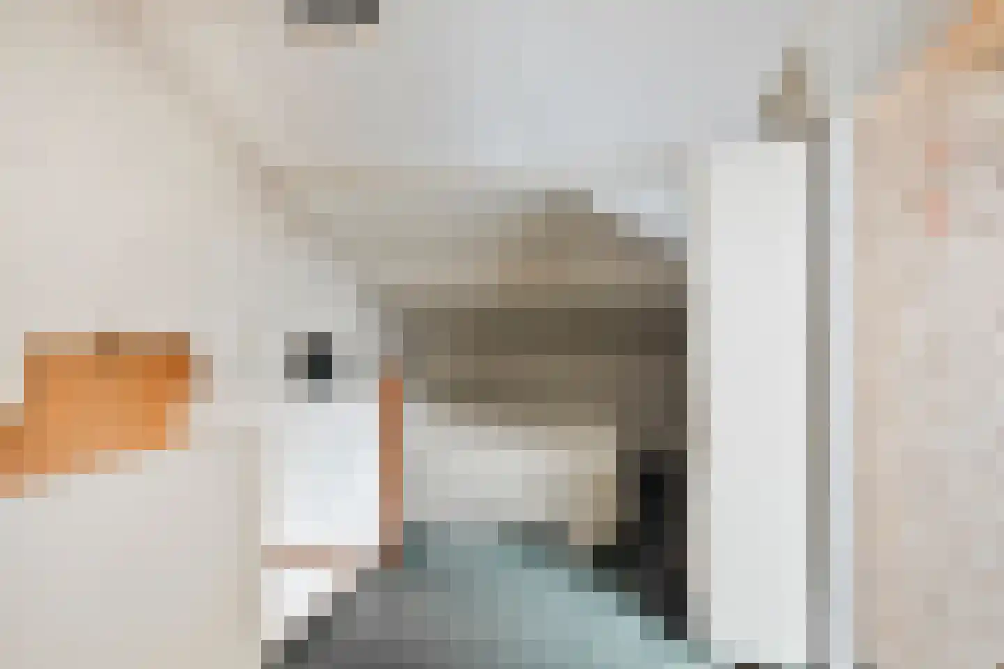 't Vijfeiken 13 Heesch thumbnail 18