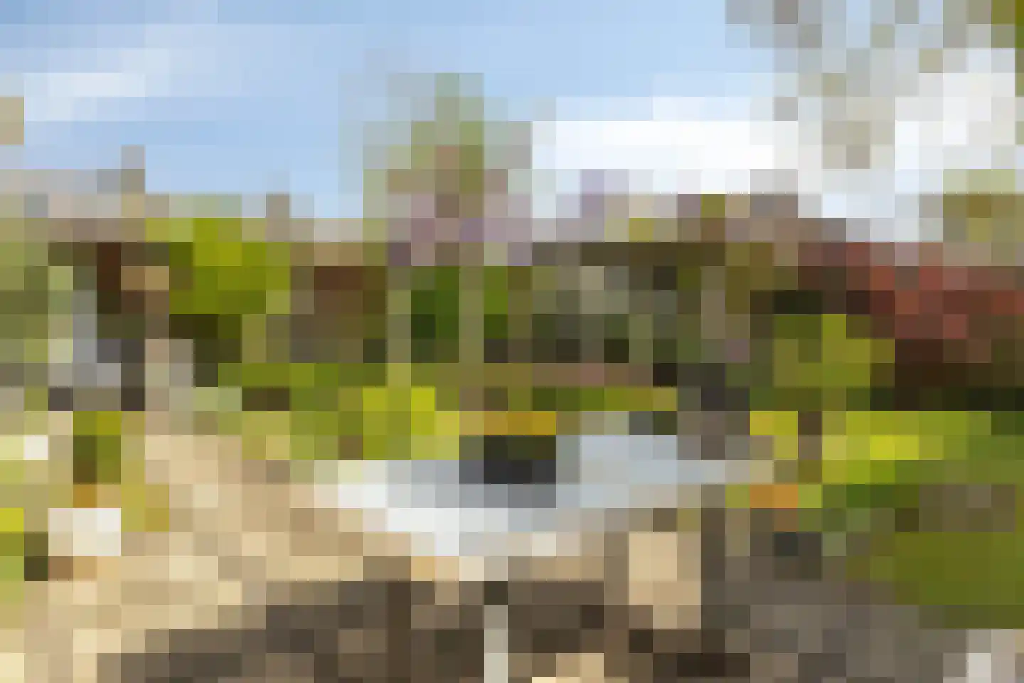 't Vijfeiken 13 Heesch thumbnail 20