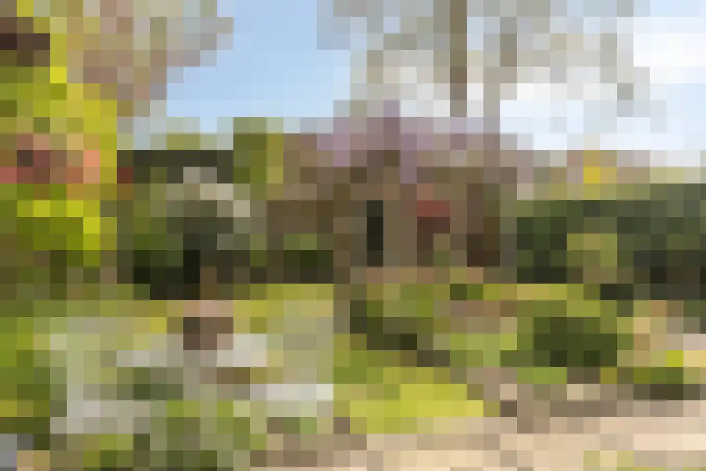 't Vijfeiken 13 Heesch thumbnail 21