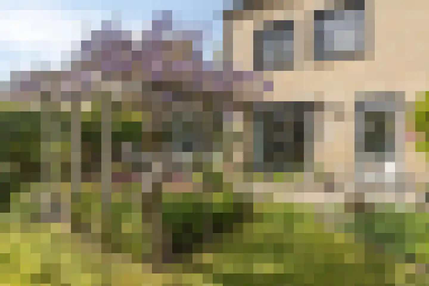 't Vijfeiken 13 Heesch thumbnail 22