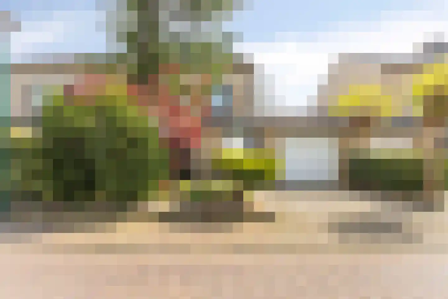 't Vijfeiken 13 Heesch thumbnail 24