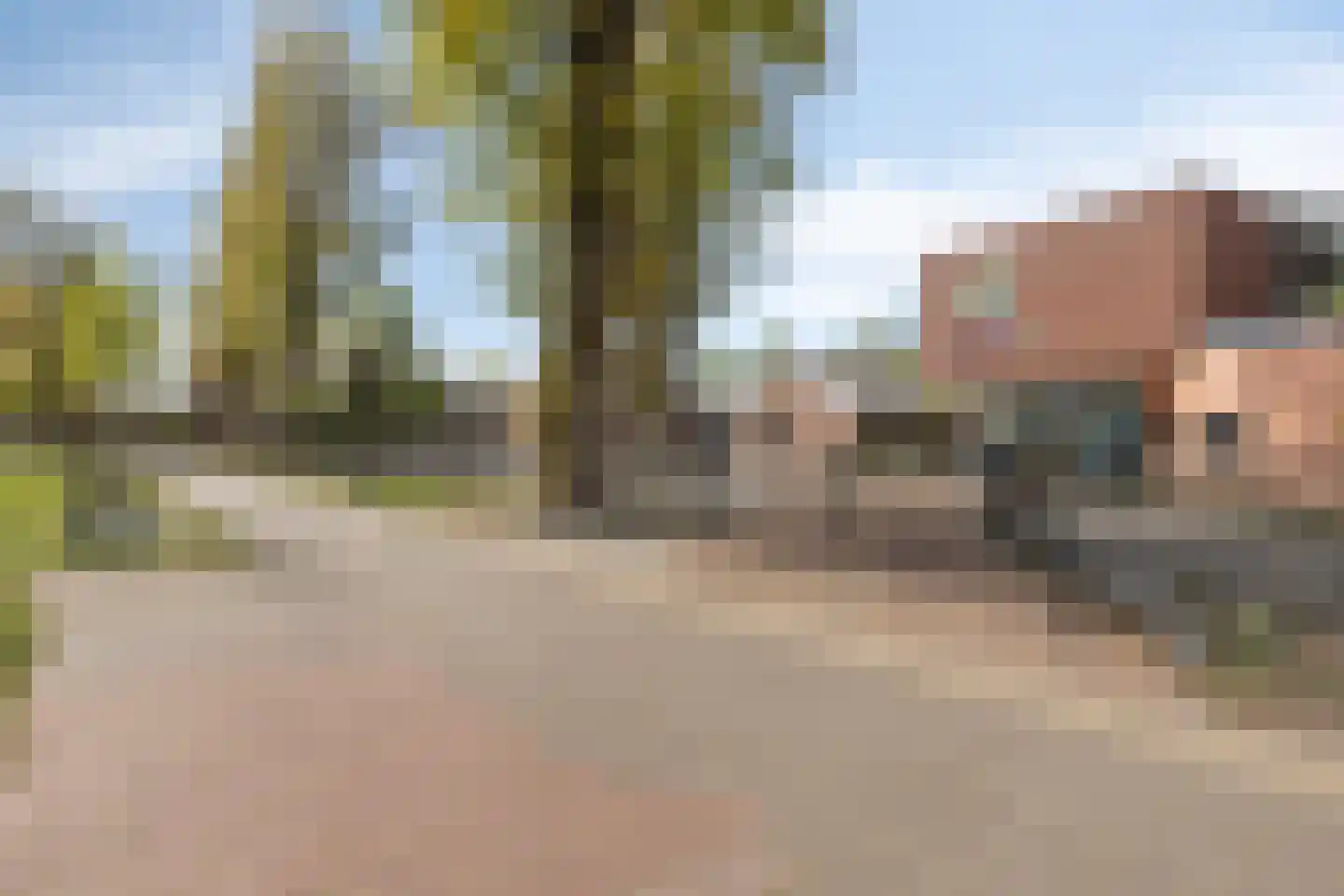 't Vijfeiken 13 Heesch thumbnail 26