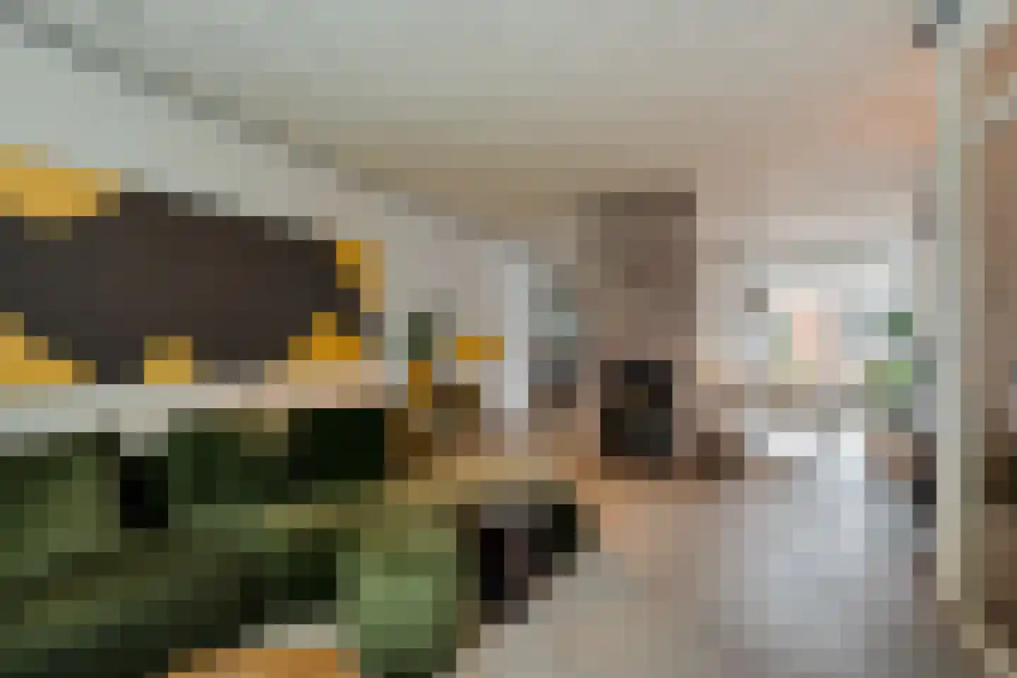't Vijfeiken 20 Heesch thumbnail 13