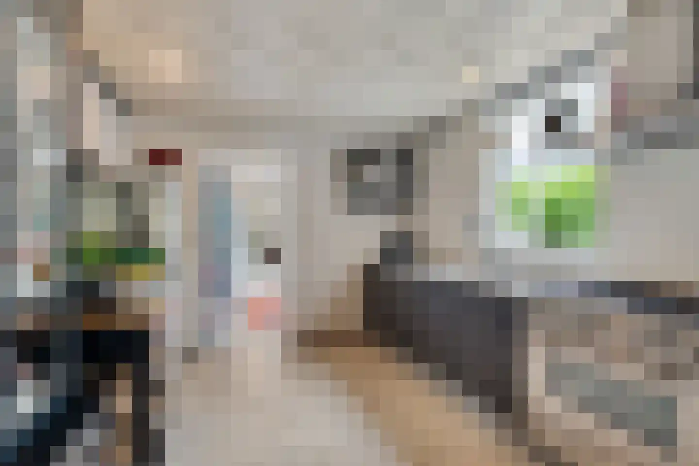 't Vijfeiken 20 Heesch thumbnail 18