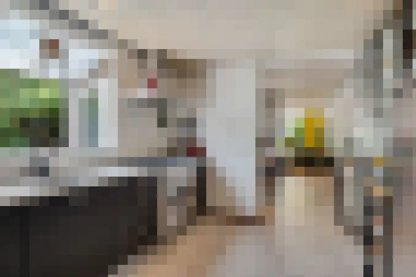 't Vijfeiken 20 Heesch thumbnail 19