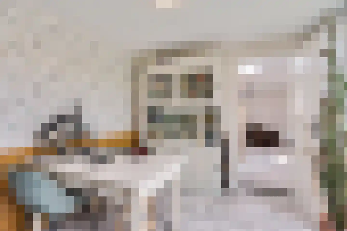 't Vijfeiken 20 Heesch thumbnail 22