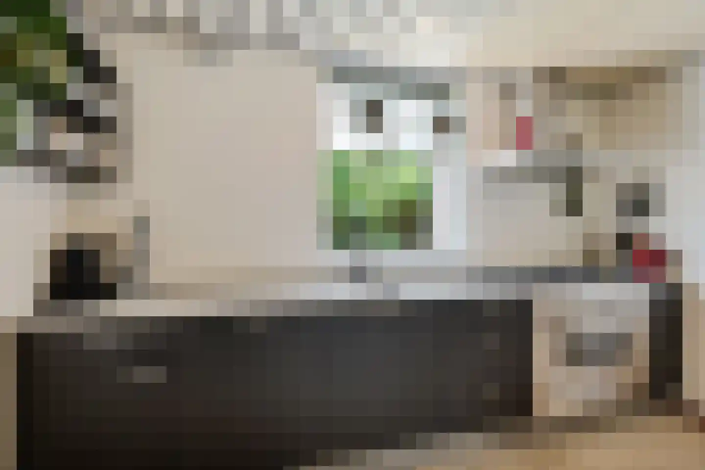 't Vijfeiken 20 Heesch thumbnail 4