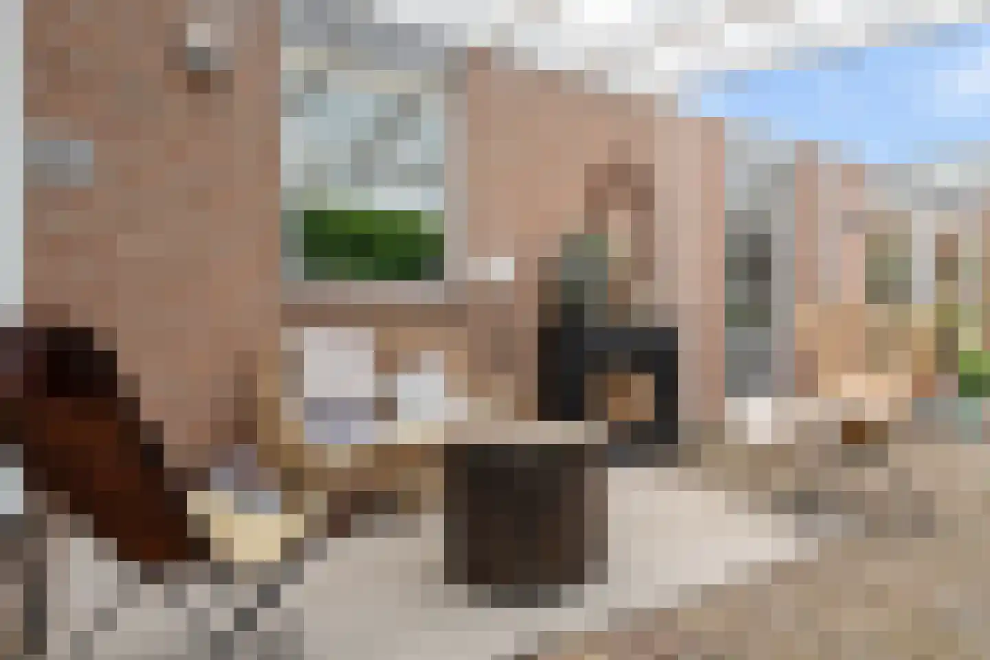 't Vijfeiken 20 Heesch thumbnail 43