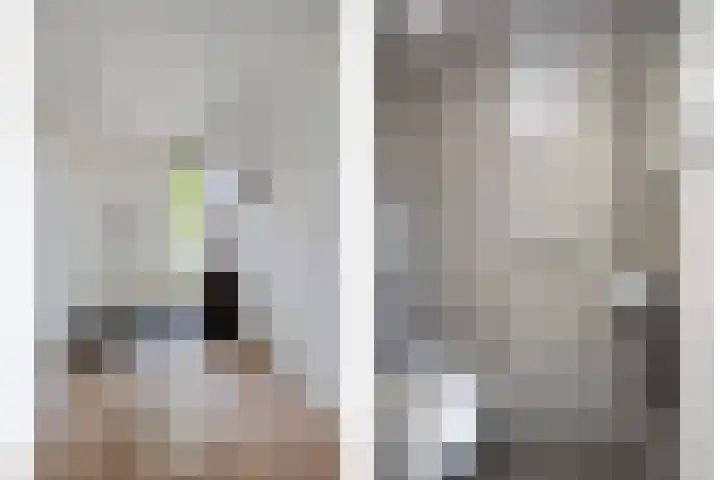 't Vijfeiken 23 Heesch thumbnail 11