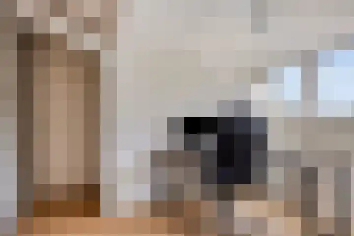 't Vijfeiken 23 Heesch thumbnail 20