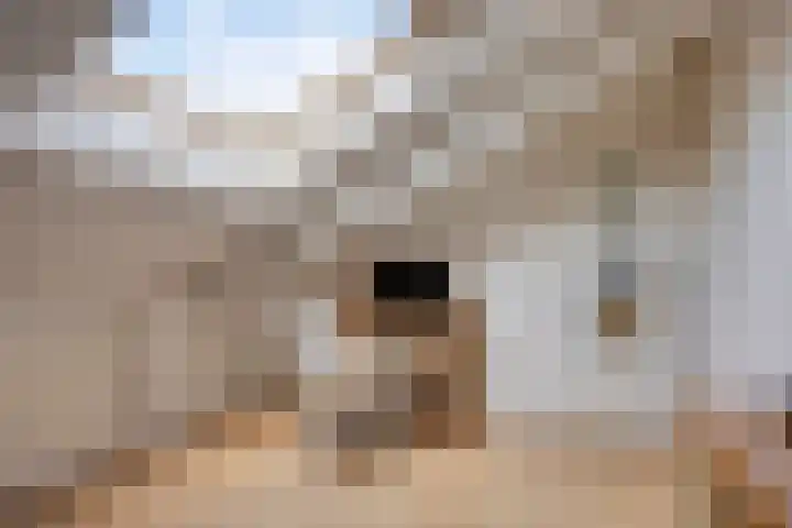 't Vijfeiken 23 Heesch thumbnail 22