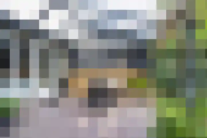 't Vijfeiken 23 Heesch thumbnail 24