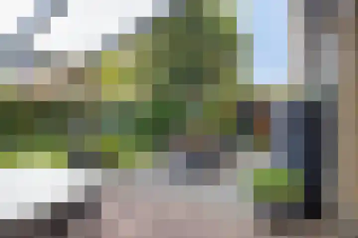 't Vijfeiken 23 Heesch thumbnail 25