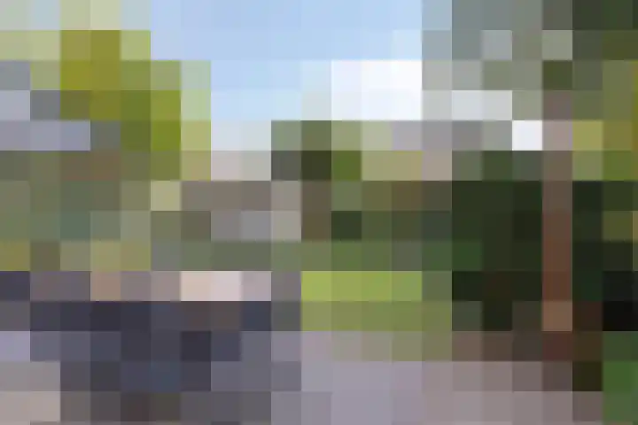 't Vijfeiken 23 Heesch thumbnail 26