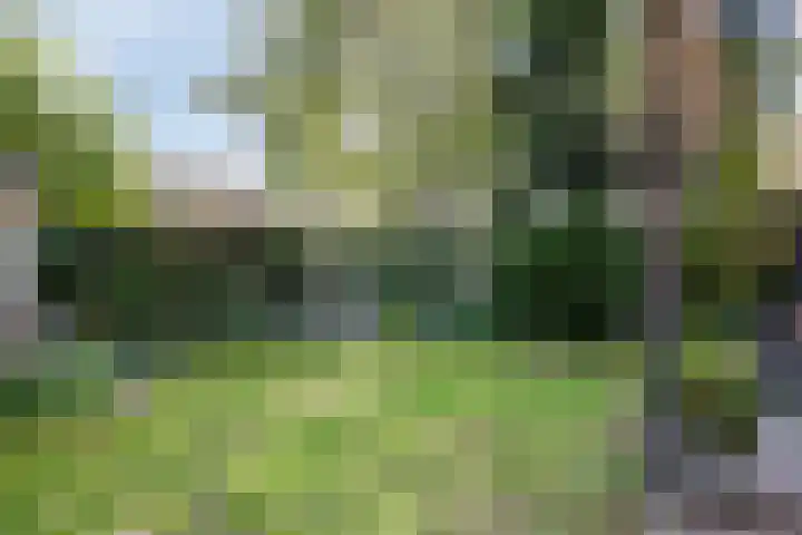 't Vijfeiken 23 Heesch thumbnail 28