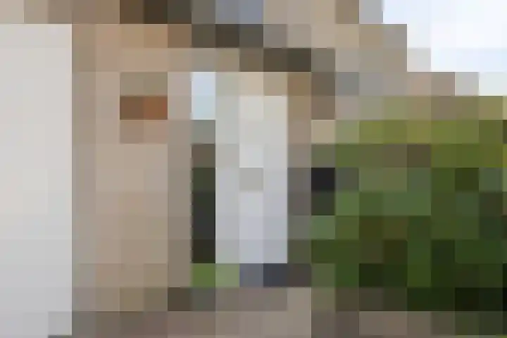 't Vijfeiken 23 Heesch thumbnail 30