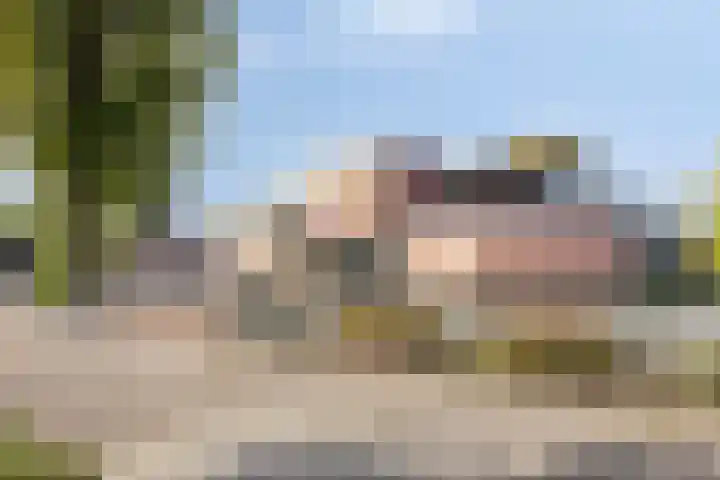 't Vijfeiken 23 Heesch thumbnail 33