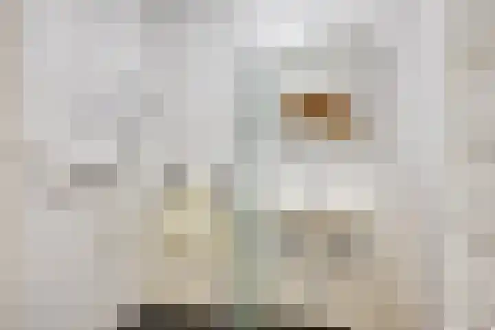 't Vijfeiken 28 Heesch thumbnail 12