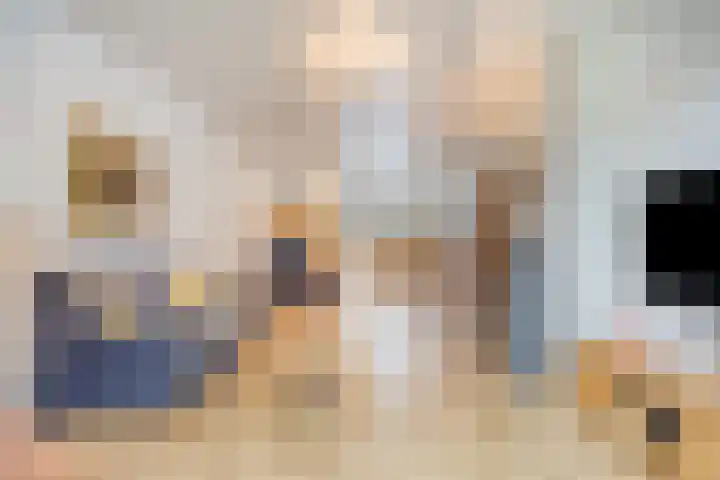 't Vijfeiken 28 Heesch thumbnail 15