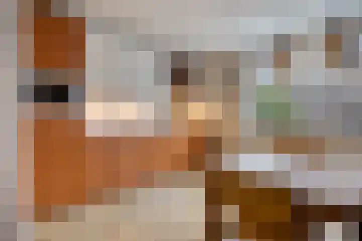 't Vijfeiken 28 Heesch thumbnail 19
