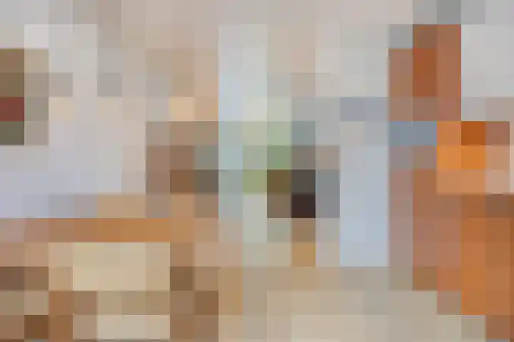 't Vijfeiken 28 Heesch thumbnail 23