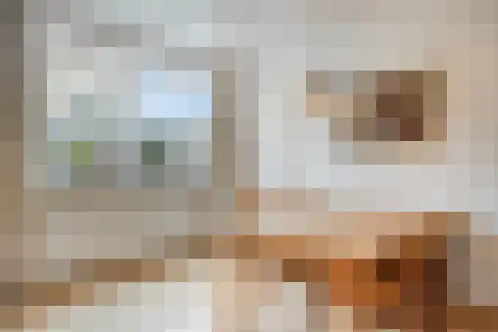 't Vijfeiken 28 Heesch thumbnail 24